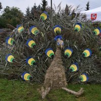 Zobacz w powiększeniu: Dożynki Powiatowe Baranów 2021 (59)